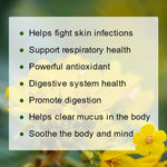 Mullein Leaf Tea – Lung Cleanse, Immune Support & Respiratory Health | 100% Natural & Caffeine-Free