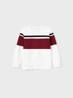 Burgundy Butterfly Family Set